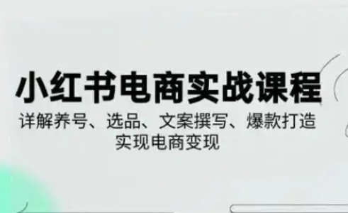 小红书从0-1实操课(2023-2025)，详解养号、选品、文案撰写、爆款打造实现电商变现-源创文化:轻创终点站