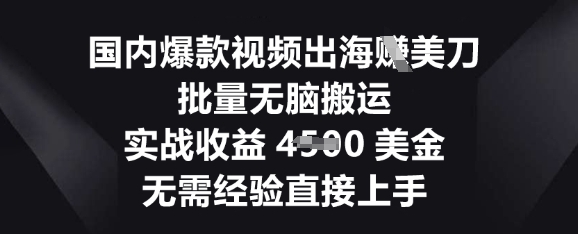 国内爆款视频出海挣美刀,批量无脑搬运,实战收益4.5k,无需经验直接上手-源创文化:轻创终点站