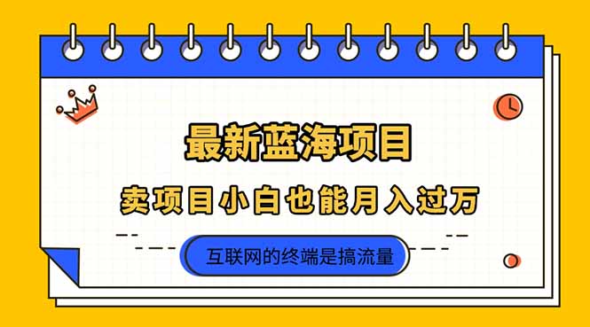 （14289期）2025年最新蓝海项目，卖项目小白也能月入过万-源创文化:轻创终点站
