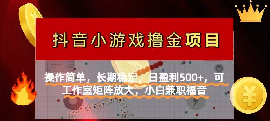 (14290期)【抖音小游戏发行人计划项目】操作简单,长期稳定,日盈利500+,可工作...-源创文化:轻创终点站
