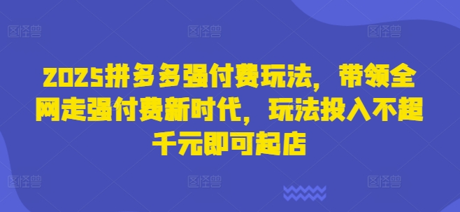 2025拼多多强付费玩法,带领全网走强付费新时代,玩法投入不超千元即可起店-源创文化:轻创终点站
